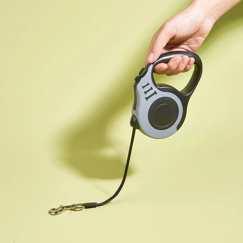Automatic Retractable Dog Leash – 3m/5m Nylon Walking Lead for Small Dogs & Cats